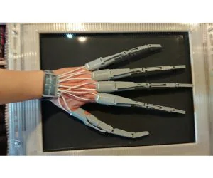 Articulated Finger Extensions 3D Models