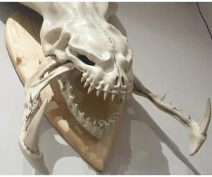 Hydralisk Skull 3D Models