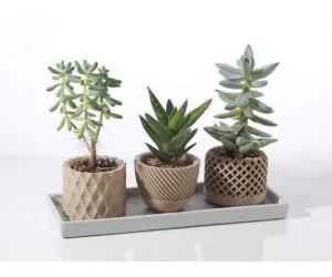 Modern Geometric Succulent Plant Pot 3D Models