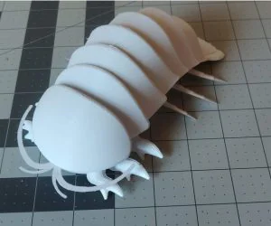 Articulated Giant Isopod 3D Models