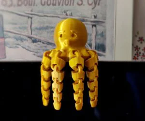 Funny Flexi Octopus 3D Models