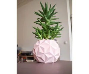 Geodesic Planter Pot 3D Models