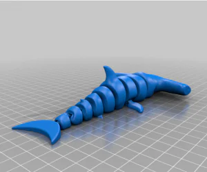 Hammerhead Shark 3D Models