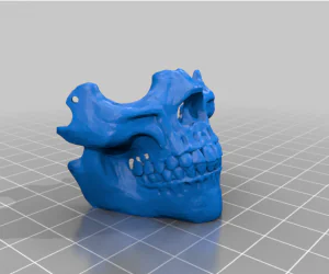 Half Mask Skull 3D Models