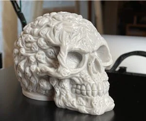 Hitch Ball Cover Soul Skull 3D Models
