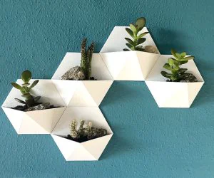 Succulent Vase 3D Models