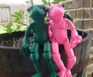 Froggy The 3D Printed Balljointed Frog Doll 3D Models