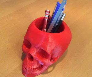 Skull Pen And Pencil Holder 3D Models