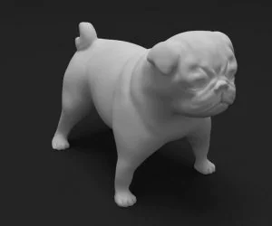 Pug 3D Models