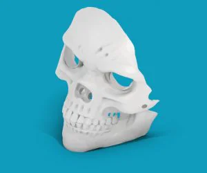 Supportless Skull Mask 3D Models