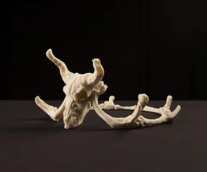 Storied Skulls Crown And Tiara 3D Models