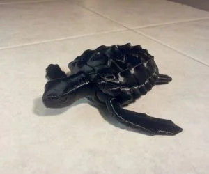 Loggerhead Sea Turtle Poseable 3D Models