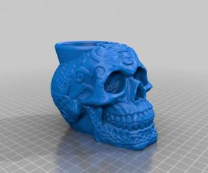 Celtic Skull Flower Pot 3D Models