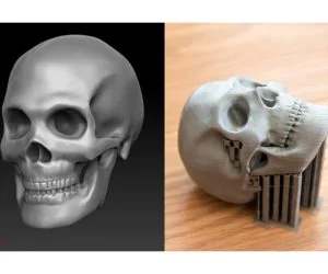 Skull 3D Models