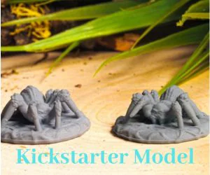 Supportless Spider Kickstarter Test Model 3D Models