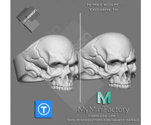 Skull Ring 3D Models