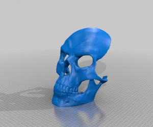 Evil Skull Mask No Supports 3D Models