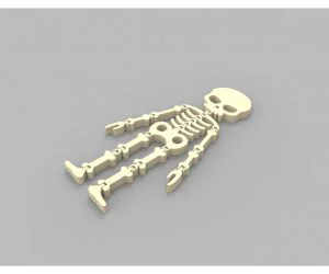 Flexi Skeleton 3D Models