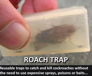 Roach Trap…Reusable Trap To Catch And Kill Cockroaches 3D Models
