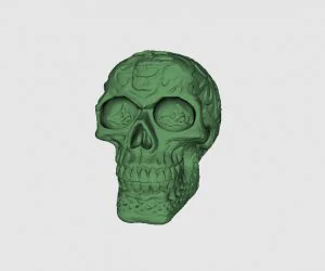 Celtic Skull 3D Models