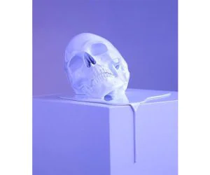 Melting Skull 3D Models