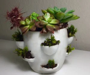 Desktop Flower Pot 3D Models