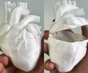Heart Shaped Box 3D Models
