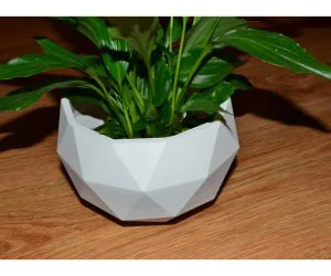 Flower Pot 3D Models