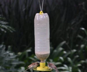 Bird Feeder With Soda Bottle Thread 3D Models