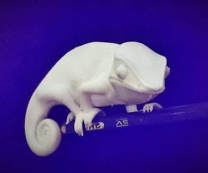 Chameleon Deskpal 3D Models