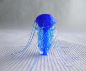 Jellyfish Customizable Drooloops 3D Models