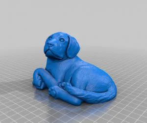 Dog 3D Models