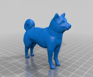 ??Dog?3D??? 3D Models
