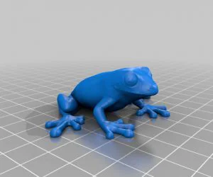 ????Frog?3D??? 3D Models
