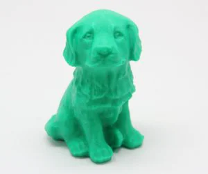 Puppy 3D Models