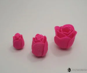 Anniversary Roses 3D Models