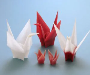 Origamixcranea 3D Models