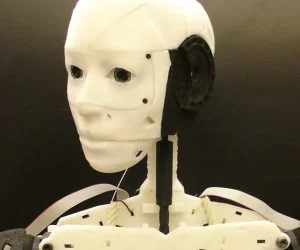 Head For Robot Inmoov 3D Models