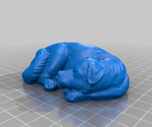Sleeping Dog 3D Models