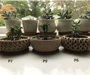 Succulent Planter 7 3D Models