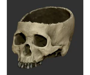 Halloween Skull Bowl 3D Models