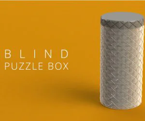 Blind Puzzle Box 3D Models