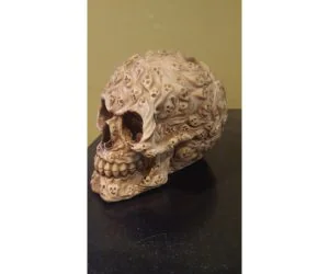 Souls Skull 3D Models