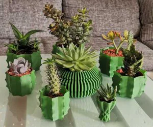 Cactus Vase Vasemode 3D Models