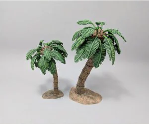 Palm Tree 3D Models