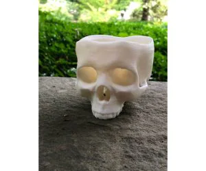 Skull Pot 3D Models