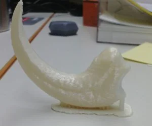 Velociraptor Dinosaur Claw 3D Models