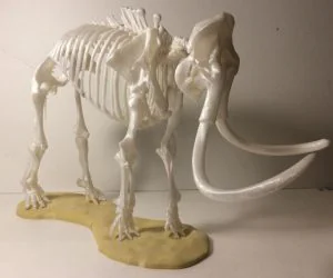 Woolly Mammoth Skeleton 3D Models