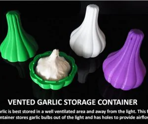 Vented Garlic Storage Container 3D Models