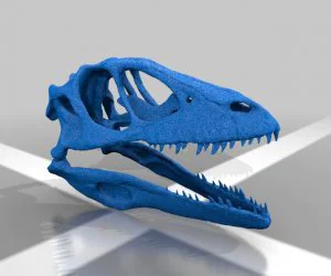 Dinosaur Skull 3D Models